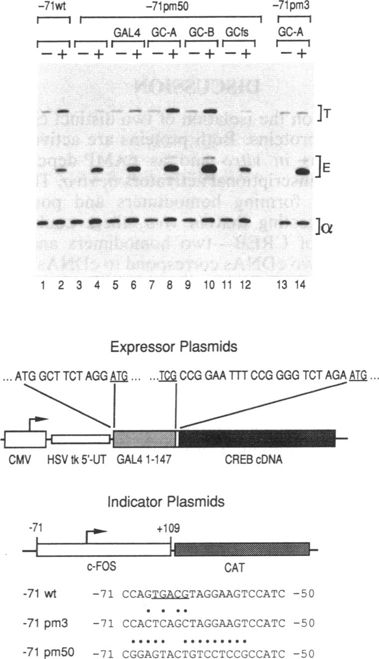 graphic file with name pnas01039-0037-b.jpg