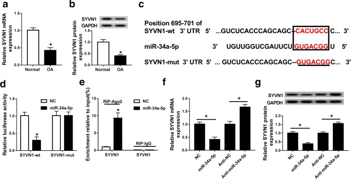 Fig. 6