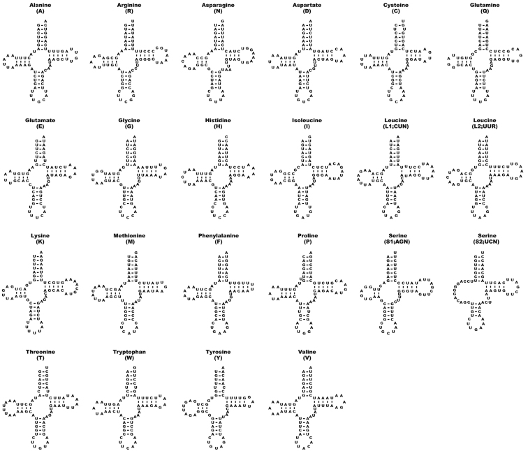 Figure 3.