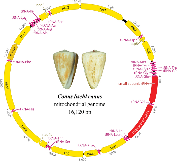 Figure 1.