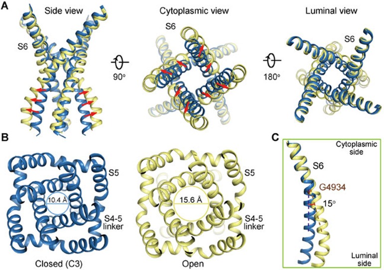 Figure 4