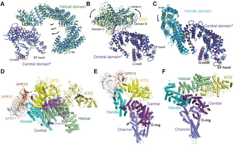 Figure 7