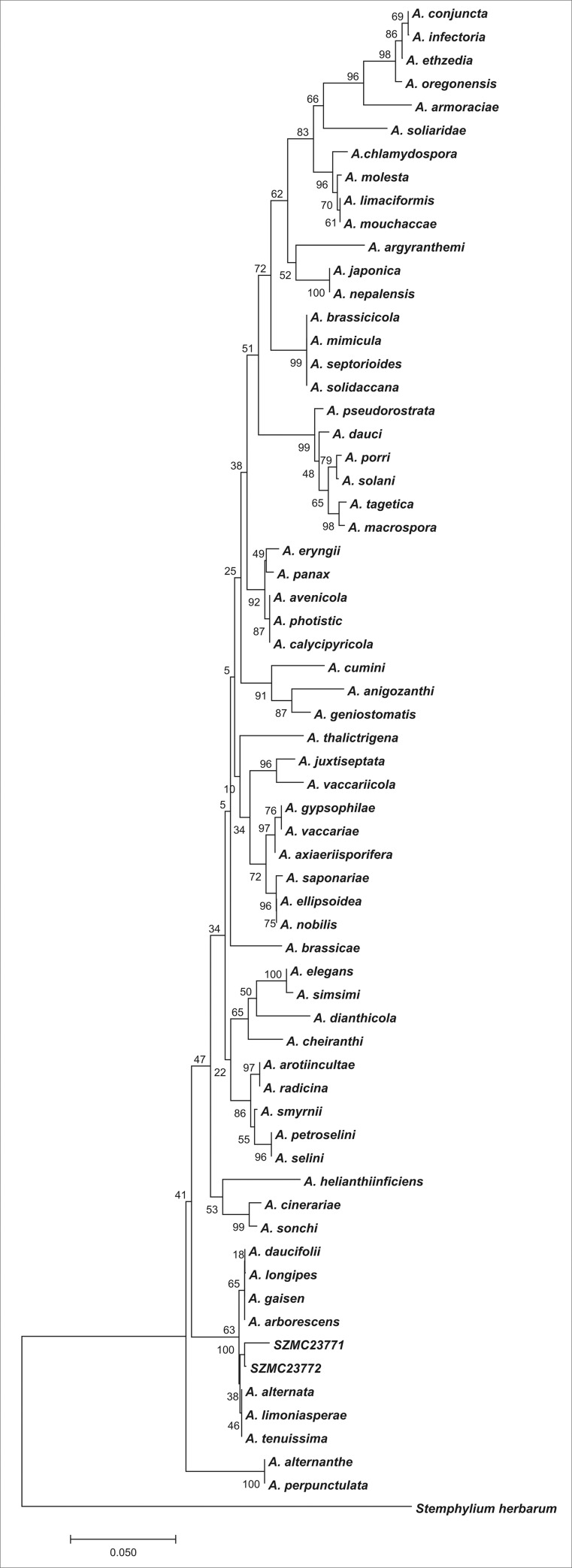 Fig 1