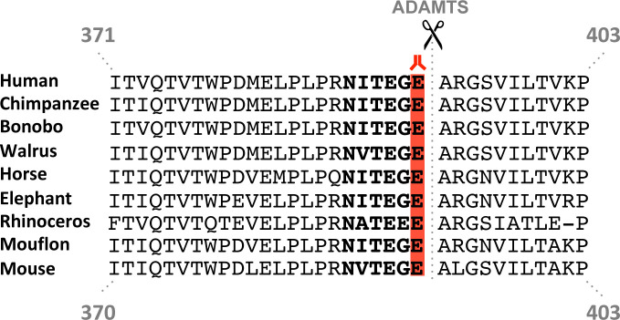 Figure 3—figure supplement 1.