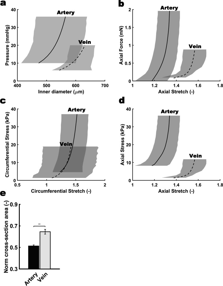 Figure 7—figure supplement 1.