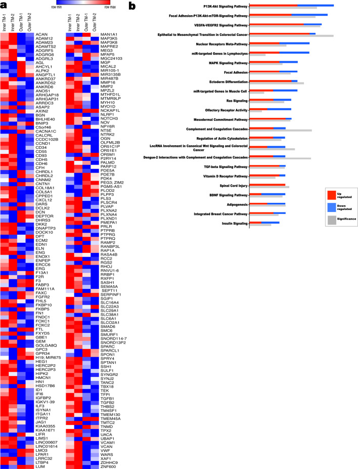 Figure 1—figure supplement 3.