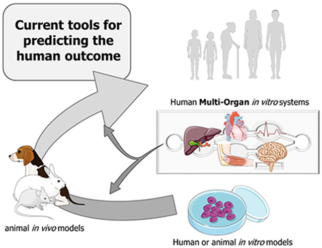 graphic file with name nihms-1752572-f0009.jpg