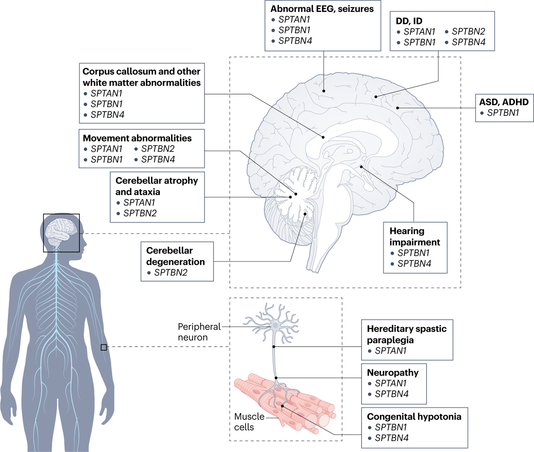 Fig. 5 |