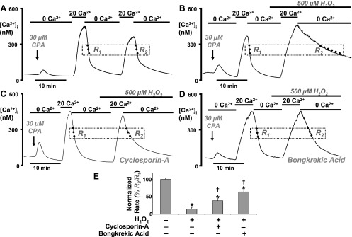 Fig. 6.