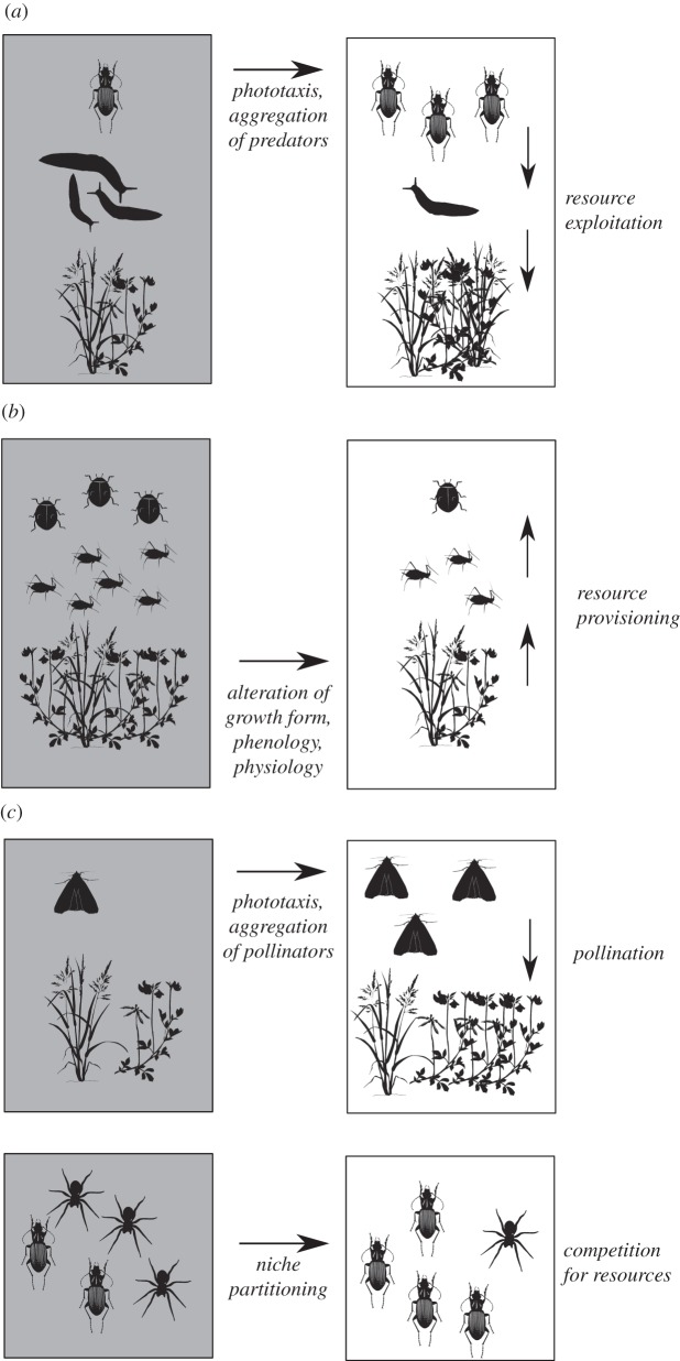 Figure 1.