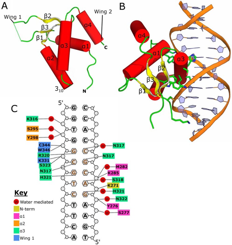 Figure 1.