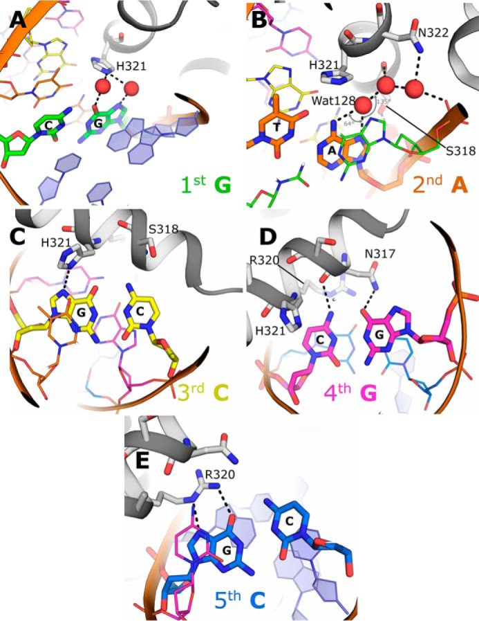 Figure 2.