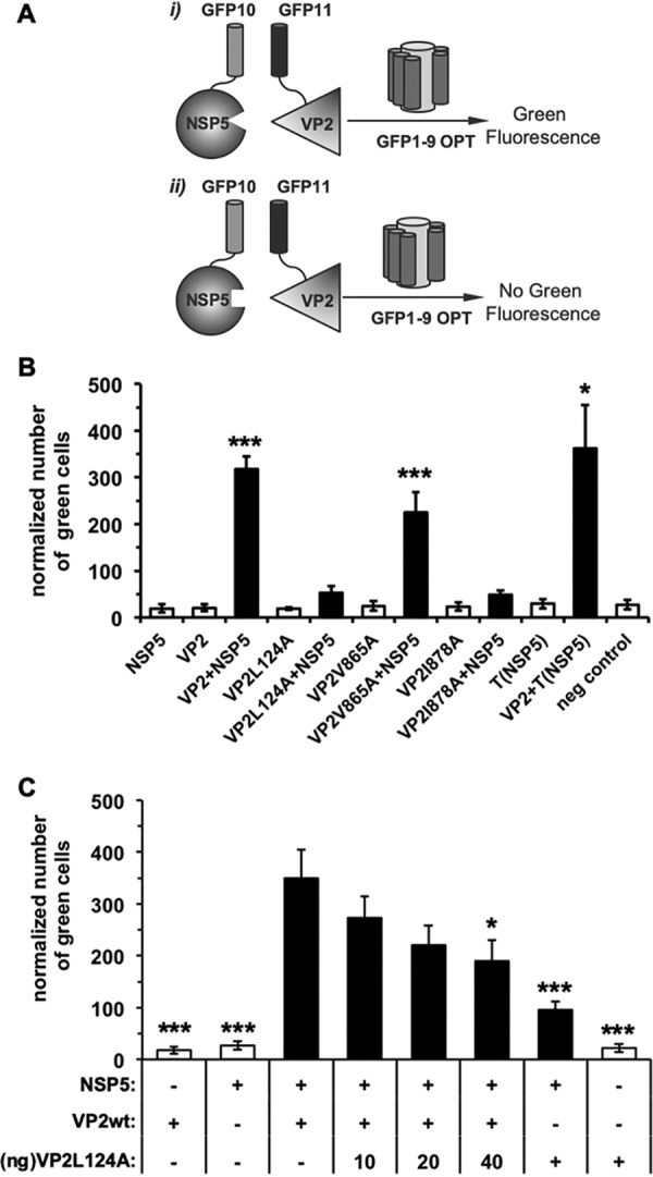 FIG 6