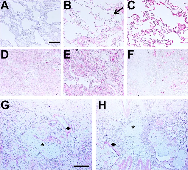 Fig 10