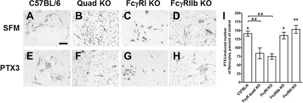 Fig 5