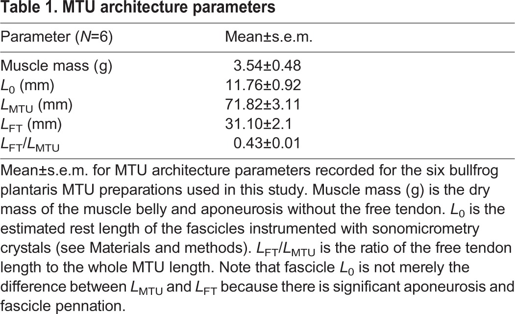 graphic file with name jexbio-218-121673-i1.jpg