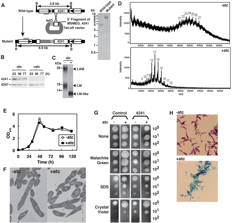 FIG 4 