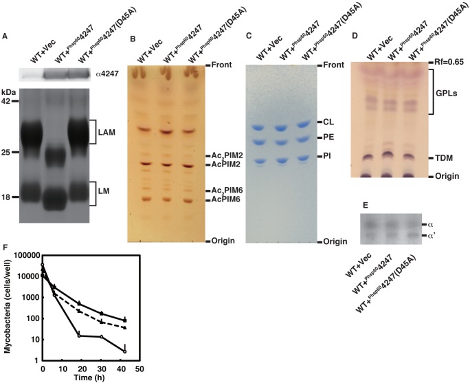 FIG 3 