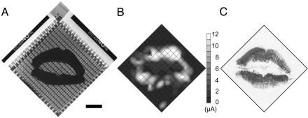 Fig. 4.