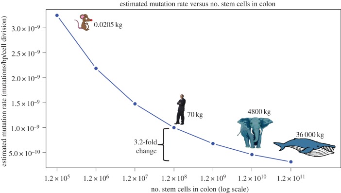 Figure 2.