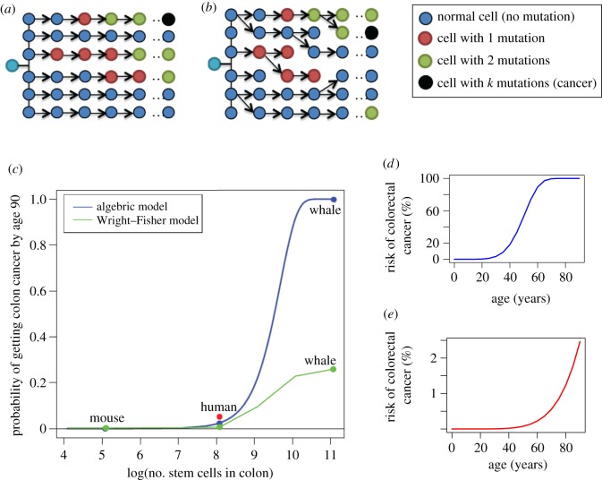 Figure 1.