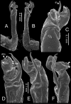 Figure 65.