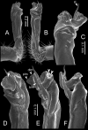 Figure 48.