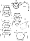 Figure 10.