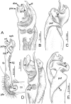 Figure 64.