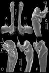 Figure 74.
