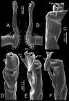 Figure 60.
