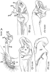Figure 21.