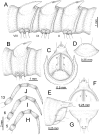 Figure 90.