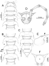 Figure 61.