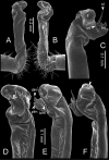 Figure 14.