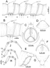 Figure 62.
