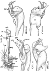Figure 97.