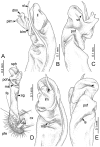 Figure 34.