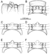 Figure 71.