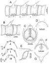 Figure 19.