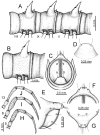 Figure 85.