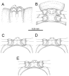 Figure 91.