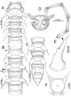 Figure 94.