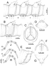 Figure 39.