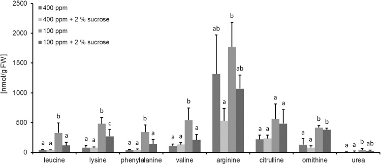 Fig 5