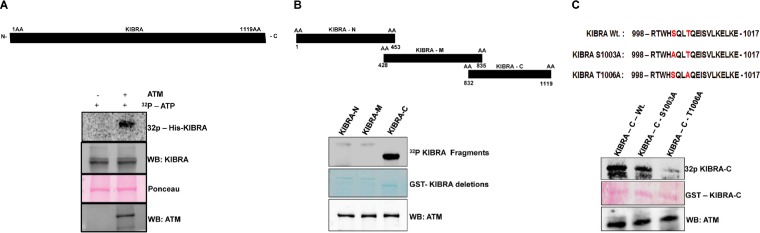 FIG 1