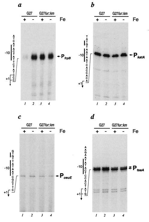 FIG. 4