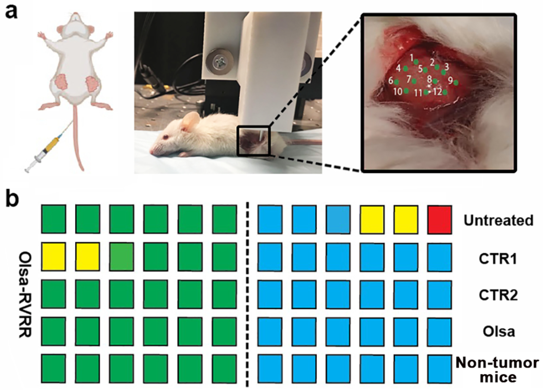 Figure 4.