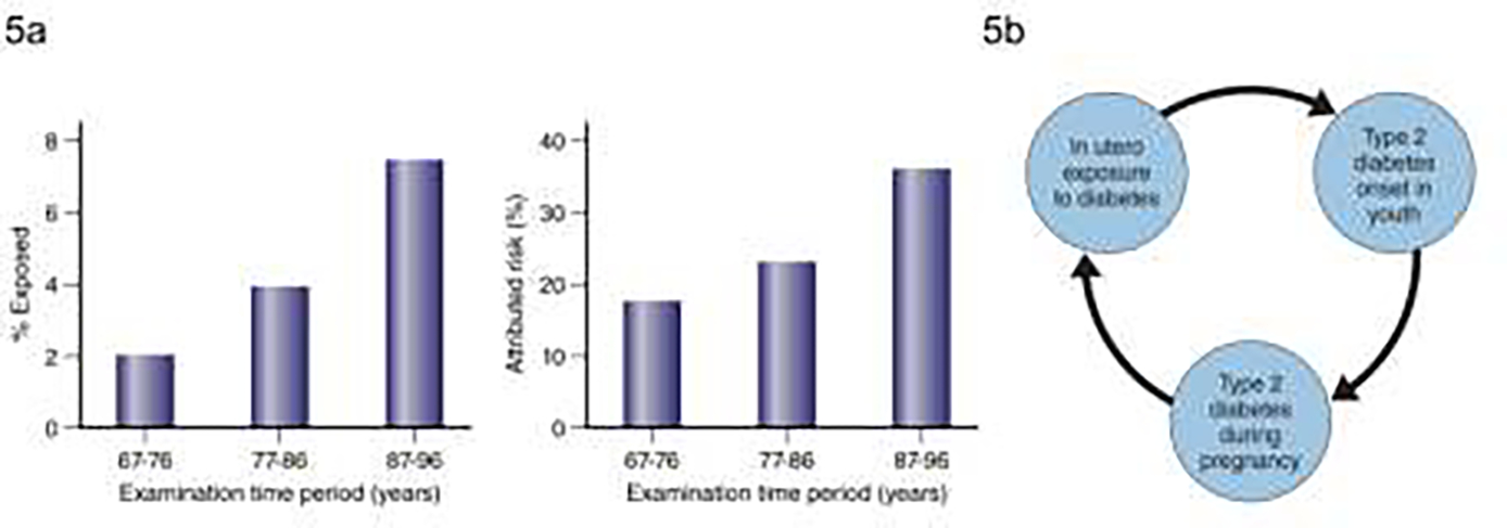 FIGURE 5: