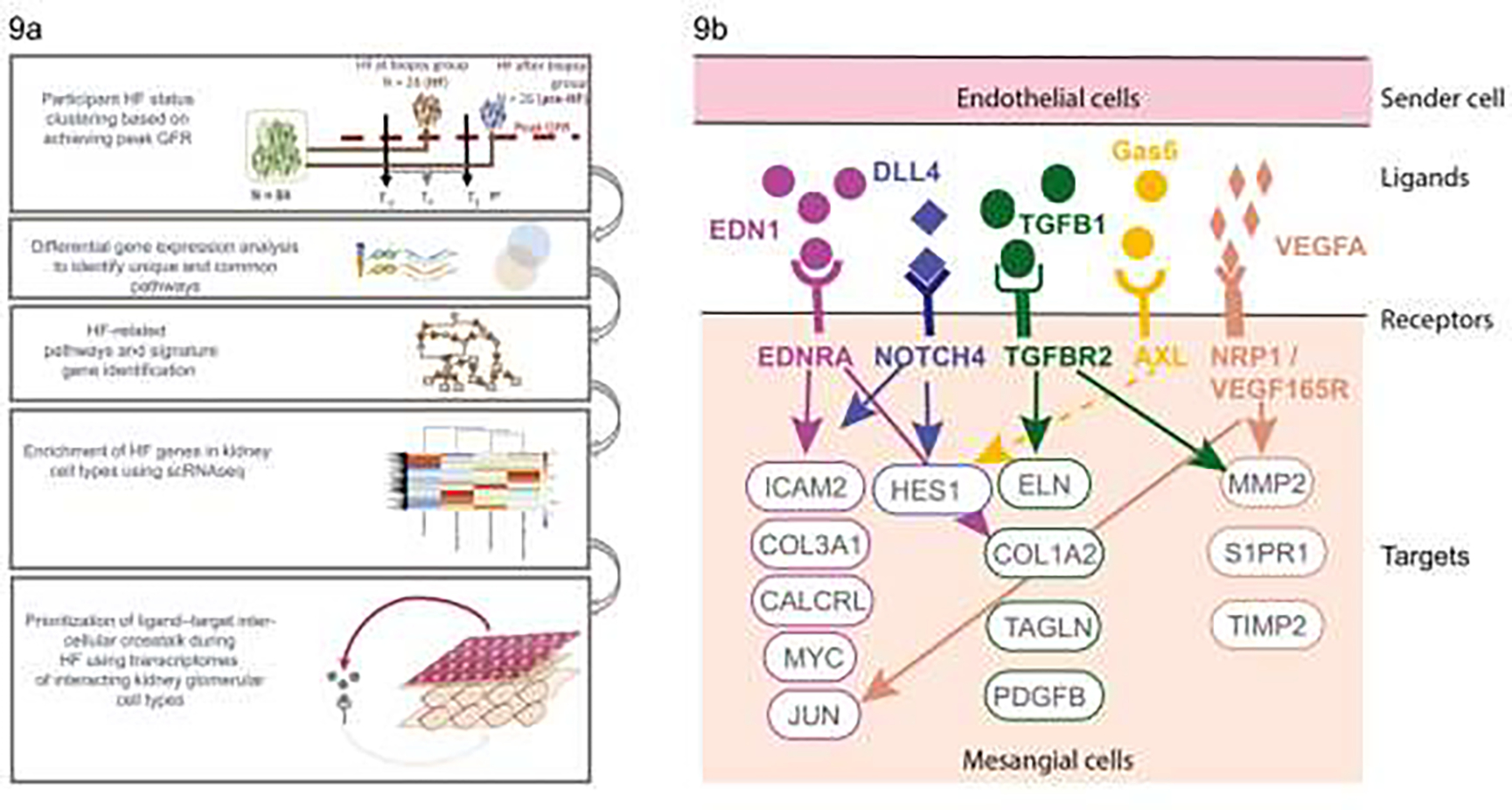 FIGURE 9: